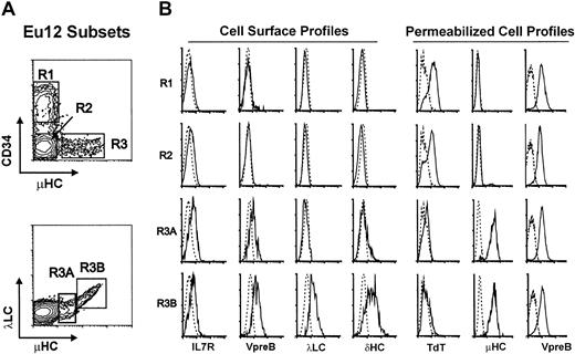 Fig. 1. Phenotypic characterization of EU12 subpopulations. / (A) Cell surface immunofluorescence analysis of EU12 cells reveals 4 subpopulations (R1, R2, R3A, and R3B) on the basis of CD34, μHC, and λLC expression. (B) FACS-sorted EU12 cells were counterstained with anti–IL-7R, anti-VpreB, anti-λLC, or anti-δHC mAbs for cell surface profile analysis or fixed and permeabilized before analysis with anti-TdT, μHC, and VpreB Abs.