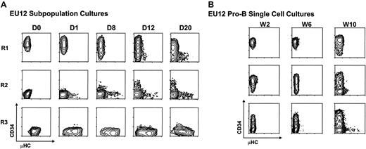 Fig. 2. Analysis of the differentiation potential of EU12 cells. / (A) Subpopulations of EU12 cells were purified by 2 rounds of FACS on the basis of their cell surface expression of CD34 and μHC. The purified EU12 subpopulations were cultured and their cell surface profiles reanalyzed on day 0 (D0), day 1 (D1), day 8 (D8), day 12 (D12), and day 20 (D20). (B) Single EU12 pro-B cells (CD34+μHC−) were cultured in individual wells and their progeny were characterized by immunofluorescence analysis at week 2 (W2), week 6 (W6), and week 10 (W10).