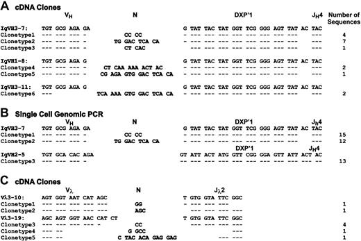 Fig. 5. Sequence analysis of Ig HC and LC genes in μHC+ EU12 cells. / The cDNA of sorted μHC+ EU12 cells was used as template for PCR amplification at VH-Cμ (A) and VL-Cλ (C) transcripts using primer combinations described in “Materials and methods.” (B) Single μHC+ EU12 cells were sorted into PCR tubes with lysis buffer, and used for 2-round genomic PCR as described in “Materials and methods.” PCR products were purified and directly sequenced with specific VH primers.