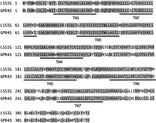 Fig. 1. Alignment of LSSIG deduced amino acid sequence with GPR43. / Shaded box residues indicate residues conserved between LSSIG and GPR43. Possible transmembrane (TM1-7) regions are underlined.