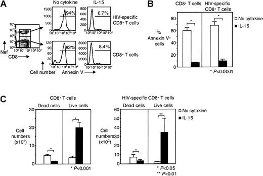 Fig. 3. Long-term survival of HIV-specific CD8+ T cells is augmented by IL-15. / (A) Representative flow cytometry showing Annexin V staining of purified CD8+ T cells and HIV-specific CD8+ T cells after cultivation for 7 days ± IL-15. Histograms depict HIV-specific CD8+ T cells gated on tetramer and CD8 stains, CD8+ T cells gated on CD8 staining. (B) Pooled data showing percentages of dead (Annexin V+) CD8+ T cells and HIV-specific CD8+ T cells after 7 days in culture ± IL-15 (n = 8). (C) Pooled data showing absolute numbers of dead (Annexin V+) and live (Annexin V−) CD8+ and HIV-specific CD8+ T cells after 7 days in culture ± IL-15 (n = 8). Bars depict means ± standard errors. The P values were calculated by using Student t test for paired samples.