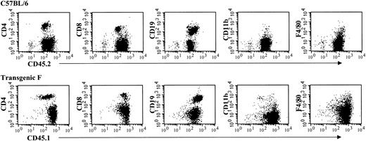 Fig. 3. Analysis of cell surface expression of the CD45.1 transgene in lymphoid and myeloid lineages using flow cytometry. / The top row shows staining of C57BL/6 spleen cells and the bottom row staining of transgenic spleen cells as indicated. The antibodies used for staining are shown on the vertical (CD4, CD8, CD19, CD11b, and F4/80) and the horizontal (CD45.1 and CD45.2) axes.