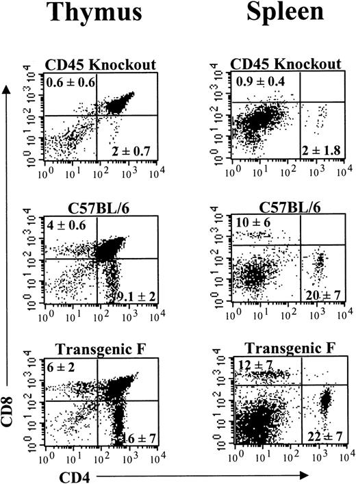 Fig. 7. Immunofluorescence of CD4+ and CD8+ T-cell subsets in thymus and spleen of CD45-null, C57BL/6, and transgenic mice. / The source of thymocytes and splenocytes is given above each plot. The staining antibodies (CD4 and CD8) are on the horizontal and vertical axes, respectively. The percentage of CD4 and CD8 single-positive cells are given in the corresponding quadrant and represent the average of 3 thymuses and 5 spleens.