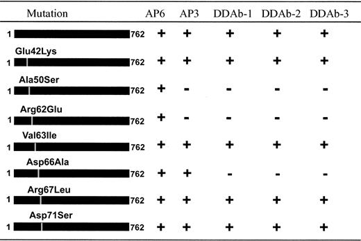 Fig. 4. Reactions of DDAbs 1 to 3 and monoclonal AP3 were lost when selected amino acids in GPIIIa were converted from human to the corresponding rat residue. / Reactions of the 3 DDAbs were abolished when amino acids 50, 62, or 66 were changed from the human to the corresponding rat residue, but similar modifications of amino acids 42, 63, 67, or 71 were without effect. Binding of monoclonal AP3 was abolished when only amino acids 50 or 62 were converted. None of the mutants were recognized by the DDAbs in the absence of quinine (not shown).