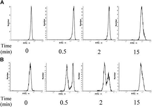 Fig. 1. A subpopulation of neutrophils that does not polymerize F-actin in response to fMLP stimulation is present in some MDS patients. / Human neutrophils were stimulated with 1 μM fMLP for the indicated time. Cells were fixed and permeabilized, and F-actin was stained with 2.5 U/mL Oregon Green 514–phalloidin. Fluorescence histograms are shown for a representative healthy control (A) and one of the MDS patients with a nonresponsive neutrophil subpopulation (B).