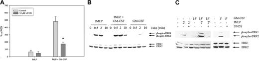 Fig. 6. Effect of U0126 on ROS production and ERK1/2 phosphorylation in neutrophils from healthy volunteers. / (A) Isolated neutrophils were preincubated with 10 μM U0126 for 30 minutes and stimulated for 20 minutes with 1 μM fMLP with or without priming with 5 ng/mL GM-CSF. ROS production was measured by FACS analysis. Results represent the mean increase in ROS produced after stimulation, compared with unstimulated cells, of 4 individual experiments. Significant reduction of the respiratory burst by U0126 is indicated by an asterisk (P < .05). (B) Neutrophils were stimulated with 1 μM fMLP with or without priming with 5 ng/mL GM-CSF or with GM-CSF alone. Phosphorylation of ERK1/2 was detected by Western blot analysis and immunodetection. To confirm equal loading, the total amount of ERK1/2 was detected using the ERK1/2 K23 antibody (lower panel). A representative blot is shown of 3 independent experiments. (C) Neutrophils were preincubated with 10 μM U0126 for 30 minutes when indicated and were stimulated for the indicated amount of time with 1 μM fMLP, with or without priming with 5 ng/mL GM-CSF or with GM-CSF alone. Cell lysates were analyzed by Western blotting, using an antibody against phosphorylated ERK1/2 (upper panel). Equal protein loading in the samples was confirmed by immunodetection of ERK1/2 (lower panel).