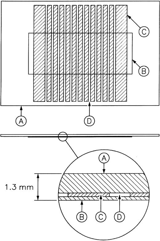 Fig. 1. Schematic diagram of the microchamber (12 channels). / (A) Glass slide. (B) Glass coverslip. (C) Silicone elastomer gasket. (D) Channel to hold sample.