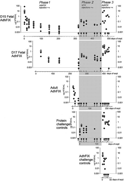 Fig. 2. Persistence of expression and tolerance of exogenous and expressed hFIX. / Prenatal and adult mice were given an initial intravenous injection of AdhFIX and were then repeatedly rechallenged, as adults, with intraperitoneal hFIX protein then intravenous AdhFIX while hFIX concentrations were measured. The y-axis shows blood hFIX concentrations (microgram per milliliter) after in utero or adult injection of AdhFIX (phase 1), after repeated injection of hFIX protein to the adult mice (phase 2, shaded), and after repeated injection of AdhFIX to the adult mice (phase 3). The x-axis shows the experimental time course in days after first the injection (day 0). Arrowheads indicate injection points. The D15 and D17 fetal AdhFIX group are mice initially injected in utero with AdhFIX at days 15 or 17 after conception, respectively. The adult AdhFIX group contains mice initially injected intravenously with AdhFIX as adults. The protein challenge control group did not receive prior injection of AdhFIX. The AdhFIX challenge group received neither prior injections of AdhFIX nor hFIX protein. The D15 and D17 fetal AdhFIX groups, the adult AdhFIX group, and the protein challenge control group received their first hFIX protein injection at 66, 56, 16 to 18, and 30 to 35 weeks of age, respectively. Diamonds show the analysis of individual mice at a given time point. The number of samples with no detectable hFIX at each time point is depicted as a diamond and number, both lying beneath the lower dotted line. The first 2 time points (days 2 and 9) are mice from the D15 fetal AdhFIX group killed for analysis; the ensuing points are from continuous sampling of mice in all groups. The reduction of animals over the length of time was predominantly age-related death.