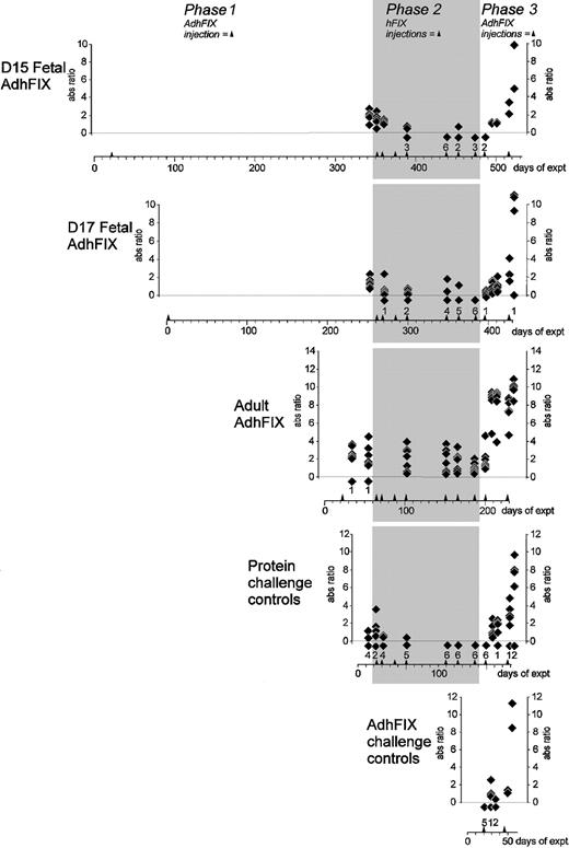 Fig. 4. Immunity toward adenoviral vector. / Mice were injected in utero or as adults with AdhFIX then repeatedly rechallenged with hFIX protein and AdhFIX while adenovirus antibody concentrations were measured. The y-axis shows blood adenovirus antibody concentrations (ratio versus control hyperimmune serum, 1/10 000 dilution) after in utero or adult injection of AdhFIX (phase 1), repeated injection of hFIX protein to the adult mice (Phase 2, shaded), and repeated injection of AdhFIX to the adult mice (Phase 3). The x-axis shows the experimental time course in days after the first injection. Arrowheads indicate injection points. The D15 and D17 fetal AdhFIX groups are mice initially injected in utero with AdhFIX at days 15 and 17 after conception, respectively. The adult AdhFIX group contains mice initially injected as adult with AdhFIX. The protein challenge control group did not receive prior injection of AdhFIX. The AdhFIX challenge group received neither prior injections of AdhFIX nor hFIX protein. Diamonds show the analysis of individual mice at a given time point. The number of samples with no detectable antibodies at each time point is depicted as a diamond and number, both lying beneath the lower dotted line.