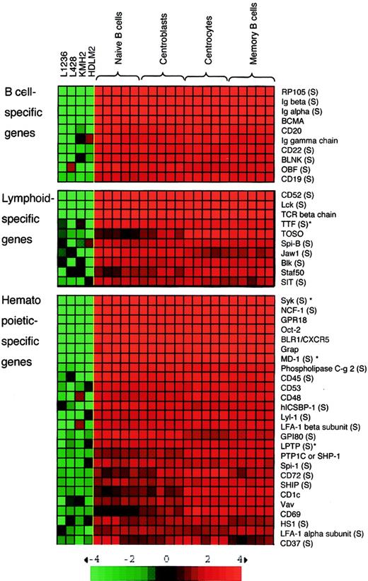 Fig. 1. Down-regulated genes of selected categories in HL cell lines. / Down-regulated B-cell–lineage genes (rows) identified by supervised clustering of HL cell lines versus normal B-cell subsets (columns) are represented as matrices and ranked according to the statistical significance (ζ-score). Color changes within a row indicate expression levels relative to the average of the sample population. Values are quantified by the scale bar that visualizes the difference in the ζ-score (expression difference/SD) relative to the mean (Klein et al21). Genes are ranked based on the ζ-score (mean expression difference of the respective gene between phenotype and control group/SD). Genes also identified in the SAGE analysis are marked by S in brackets (asterisk indicates genes identified with a difference of 2:0). The genes are divided in B-cell–, lymphocyte-, or hematopoietic-specific according to their expression. IgG is listed as an example for multiple Ig genes that showed down-regulation. Some genes such as c-Src and Syk are mentioned in the hematopoietic class of genes, despite more ubiquitous expression, because of their well-known functional importance in B-cell signaling. For some genes (eg, TTF, TOSO,Staf50, SIT) limited information of expression is available; therefore the assignment of these genes to the expression classes may be preliminary. T-cell receptor β (TCR-β) germ line transcripts are known to be expressed in tonsillar B cells.55 The complete list of differentially expressed genes is available as supplemental data on theBlood website; see the Supplemental Tables link at the top of the online article.