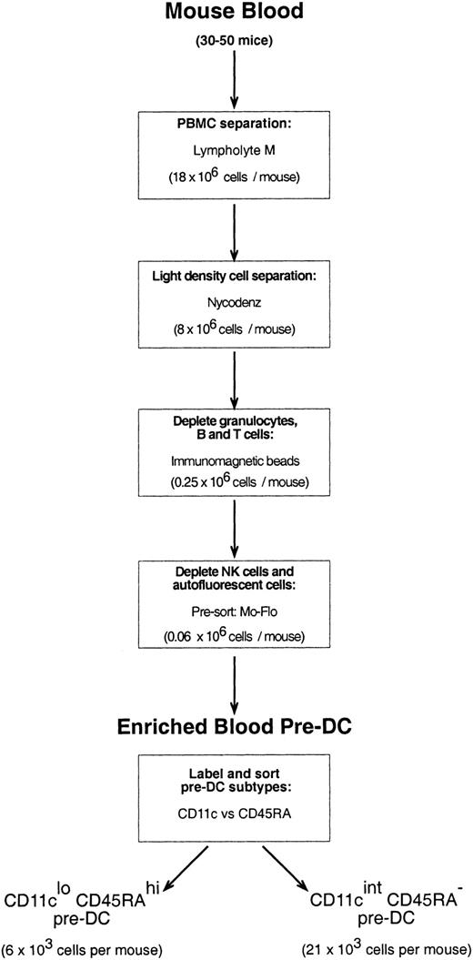 Fig. 1. Purification strategy for mouse blood pre-DC subtypes.