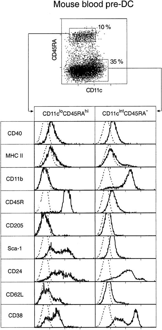 Fig. 2. Surface phenotype of mouse blood pre-DCs. / Mouse blood pre-DCs were enriched as described in “Materials and methods” and in Figure 1, including presorting to eliminate autofluorescent cells. The enriched preparation was then stained for surface expression of CD11c and CD45RA, together with MHC class 2 and one of the additional markers shown. Resultant fluorescence distribution data were gated on either the CD11cloCD45RAhi or the CD11cintCD45RA− pre-DC subgroups, as shown in the top dot plot. Distributions of the other markers are shown in the bottom panels. The broken line gives the background fluorescence with only the relevant stain omitted. Both pre-DC populations were negative for expression of CD4, CD8α, CD80, CD86, and IL-3R (data not shown). Results are representative of 2 to 5 such analyses.