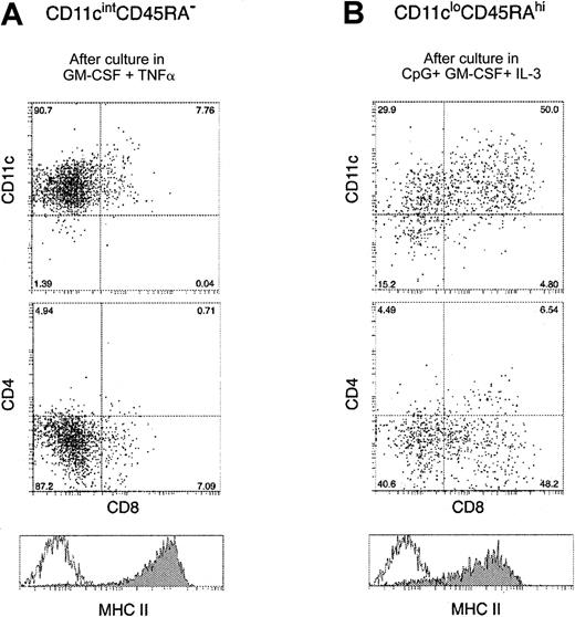 Fig. 4. Surface phenotype of mouse blood pre-DCs after in vitro maturation. / Mouse blood pre-DC populations were incubated with their respective optimal stimuli, as described in “Results.” After 36-hour culture, the cells were recovered and stained with antibodies to CD11c, CD4, CD8, and MHC class 2. Panel A shows the surface staining of CD11cintCD45RA− mouse pre-DCs after incubation with GM-CSF and TNF-α. Panel B shows the surface staining of CD11cloCD45RAhi cells after incubation with GM-CSF, IL-3, and CpG. In both panels, the unfilled line within the MHC class 2 histogram gives the background fluorescence with only the MHC class 2 stain omitted. Data are from one experiment, representative of 5 to 10 separate experiments, each of which examined the pre-DCs obtained from the pooled blood of more than 20 mice.