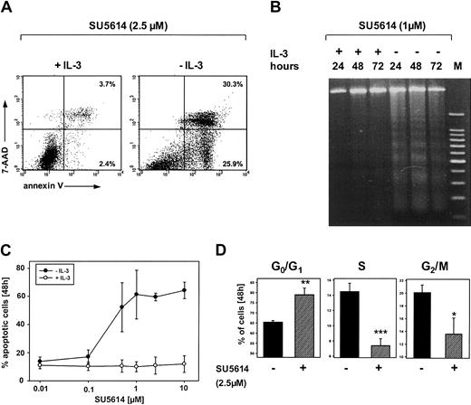 Fig. 3. SU5614 induces apoptosis and cell cycle arrest in Ba/F3 cells transformed by the FLT3ITD-NPOS mutant. / (A,C) Ba/F3 cells transformed by FLT3ITD-NPOS were stained with annexin V–PE and 7-AAD and analyzed by flow cytometry. Representative dot plots from 1 of 3 independently performed experiments are shown. Values represent the means ± SDs of 3 independent experiments. (B) DNA fragmentation identified by DNA laddering on agarose gel electrophoresis in Ba/F3 FLT3ITD-NPOS. Cells were incubated with SU5614 in the presence or absence of recombinant murine IL-3 (10 ng/mL) for the indicated time intervals. gDNA was analyzed in a 2% agarose gel. (D) Cell cycle analyses were performed by determination of the DNA content with PI. Cells were stained with PI and cell nuclei were analyzed by flow cytometry. *P < .05; **P < .01; ***P < .001 according to Student t test comparing the percentage of cells in G0/G1, S, and G2/M phases in untreated versus inhibitor-treated samples.