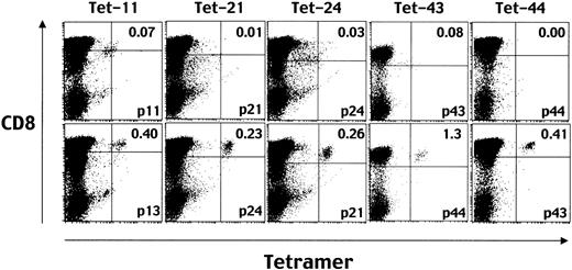 Fig. 2. Down-regulation of TCR after stimulation with cognate peptides demonstrated by decreased levels of tetramer staining. / Before staining with each MHC/peptide tetramer (eg, Tet-11 means one incorporating peptide no. 11), aliquots of EBV-specific CD8+ T cells were incubated with T2-A24 cells in the presence of the same peptide used for making the indicated tetramer (eg, p11 for Tet-11, top row) or control HLA A24–binding peptide (eg, p13 for Tet-11, bottom row). After a 16-hour incubation, the cells were stained with phycoerythrin (PE)–conjugated HLA A*2402-tetramers and TRI-COLOR–labeled anti-CD8 mAb and analyzed by FACSCalibur. Numbers in the top right quadrants represent the percentages of tetramer-positive cells in the total CD8high cells.