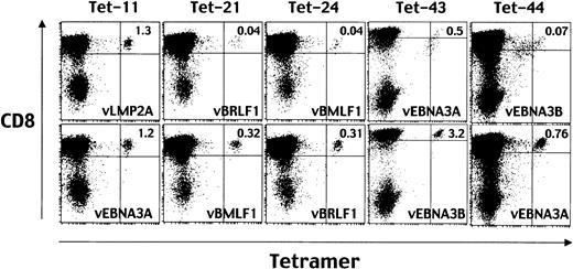 Fig. 4. Down-regulation of TCR after stimulation with HLA A24–positive fibroblast cells infected with recombinant vaccinia viruses expressing each of the EBV genes. / Before staining with Tet-11, Tet-21, Tet-24, Tet-43, or Tet-44, aliquots of EBV-specific CD8+ T cells were incubated with HLA A24–positive fibroblast cells infected with recombinant vaccinia virus expressing LMP2 (vLMP2), vBRLF1, vBMLF1, vEBNA3A, or vEBNA3B, respectively (top row). For control stimulation, aliquots of EBV-specific CD8+ T cells were incubated with HLA A24–positive fibroblast cells infected with vEBNA3A, vBMLF1, vBRLF1, vEBNA3B, or vEBNA3A, respectively (bottom row). After a 16-hour incubation, the cells were stained with PE-conjugated HLA A*2402 tetramers and TRI-COLOR–labeled anti-CD8 mAb and analyzed by FACSCalibur. Numbers in the top right quadrants represent the percentages of tetramer-positive cells in the total CD8high cells.