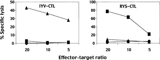 Fig. 5. Results of CTL assays using CD8+ T-cell clones. / CTL assays were performed using 51Cr-labeled autologous LCLs as target cells. IYV-CTL is a clone specific for peptide no. 11, IYVLVMLVL; RYS-CTL, a clone specific for peptide RYSIFFDYM. The CTLs were incubated with the target cells in the presence of 100 nM peptide, IYVLVMLVL (▴), RYSIFFDYM (▪), or in the absence of peptide (●) at the indicated effector-target ratio.