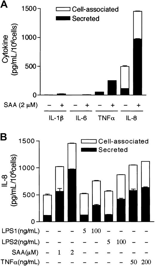 Fig. 1. SAA induces rapid secretion of IL-8 from neutrophils. / (A) Freshly prepared neutrophils were stimulated with 2 μM SAA at 37°C for 4 hours in serum-free medium. The secreted (from supernatant; closed bars) and cell-associated (from cell lysate; open bars) cytokines were detected by ELISA. The percentage of cell-associated cytokines in SAA-stimulated samples are 22% (IL-1β), 20% (IL-6), 3% (TNF-α), and 36% (IL-8). In unstimulated neutrophils, 77% of IL-8 is present in cell-associated form. (B) Neutrophils were similarly stimulated with LPS from E coli0111:B4 (LPS1) and S minnesota Re595 (LPS2), SAA, and TNF-α for 4 hours, at the indicated concentrations. Cell-associated IL-8 (open bars) and secreted IL-8 (closed bars) were determined by ELISA. All data are presented as mean ± SEM of 3 independent experiments, each performed in duplicate.