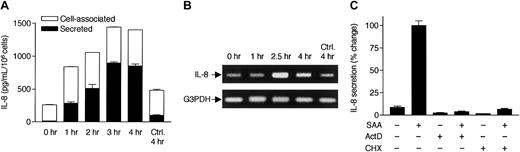 Fig. 2. SAA-induced IL-8 secretion requires transcription and de novo protein synthesis. / (A) Time course of SAA-induced IL-8 production. Neutrophils were stimulated with 2 μM SAA, and the secreted and cell-associated IL-8 concentrations were determined by ELISA after 1, 2, 3, and 4 hours. All data are presented as mean ± SEM of 3 independent experiments, each performed in duplicate. (B) Neutrophils, stimulated with 2 μM SAA for 1, 2.5, and 4 hours or incubated in the absence of SAA for 4 hours, were harvested for RNA preparation. RT-PCR was performed with specific primers for human IL-8 and G3PDH. The PCR products were resolved on a 1% agarose gel by electrophoresis and stained with ethidium bromide. Data shown are from one representative experiment of a total of 3, all with similar results. (C) Neutrophils were preincubated for 1 hour with or without actinomycin D (ActD; 10 μg/mL) or cycloheximide (CHX; 100 μM). The cells were then stimulated with 1 μM SAA for 4 hours. Secreted IL-8 was measured by ELISA as described. Maximal production of IL-8 (∼800 pg/106 cells/mL) was observed in the absence of either inhibitor and was set as 100%, against which the effects of ActD and CHX were measured. Data shown are means ± SEM derived from 3 independent experiments, each performed in duplicate.