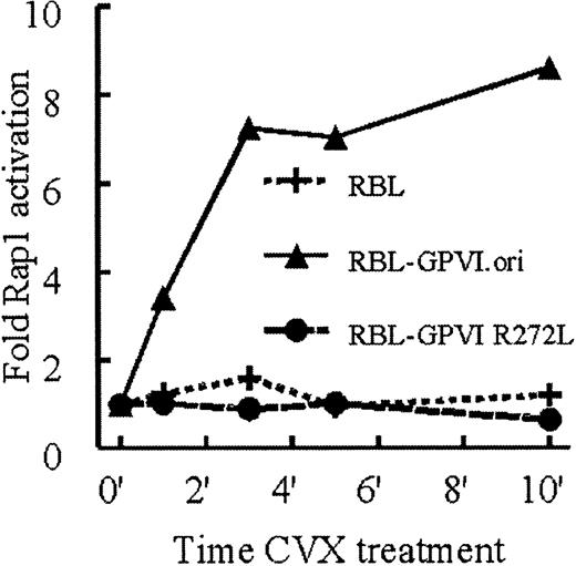 Fig. 2. CVX, but not collagen, treatment of RBL-2H3 cells stimulates Rap1 activation in an FcRγ-dependent manner. / RBL-2H3 cells stably transfected with wild-type GPVI (GPVI.ori), a mutant GPVI that fails to associate with FcRγ (GPVI.R272L), or untransfected RBL-2H3 cells were stimulated with 10 nM CVX. Aliquots were removed at the indicated time points. Active Rap1 was precipitated and detected as described in Figure 1. Levels of active Rap1 were determined by densitometry and normalized to total Rap1 present in each sample. These results were confirmed in 3 separate experiments.