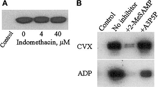 Fig. 4. Full CVX-mediated Rap1 activation is dependent on ADP but not TXA2 signaling and specifically requires the P2Y12 ADP receptor in human platelets. / (A) Washed human platelets were pretreated with dimethyl sulfoxide (DMSO; control) or the indicated concentrations of the cyclooxygenase inhibitor indomethacin for 15 minutes. CVX (250 ng/mL) was then added for 1 additional minute. (B) Washed human platelets were pretreated for 15 minutes with Tyrode buffer (control and no inhibitor), the specific P2Y12 ADP receptor antagonist 2-MeSAMP (50 μM), or the specific P2Y1 ADP receptor antagonist A3P5P (100 μM) prior to 1 minute of stimulation with either 250 ng/mL CVX (top panel) or 20 μM ADP (bottom panel). Control lanes are without agonist stimulation. The presence of active Rap1 in treated platelet lysates in panels A and B was detected as described in Figure 1. Note the dramatic inhibition of Rap1 activation by 2-MeSAMP pretreatment. These results were confirmed in 4 separate experiments.