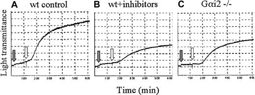 Fig. 9. CVX-induced platelet aggregation is mediated by ADP-dependent and -independent components. / Aggregation traces from wild-type (wt, A-B) or Gαi2−/− (C) murine platelets treated with either control buffer (A,C) or the ADP receptor antagonists 2-MeSAMP (50 μM) and A3P5P (100 μM; B; gray arrows) for 1 minute and then stimulated with 250 ng/mL CVX (white arrows). These results were confirmed in 3 separate experiments.