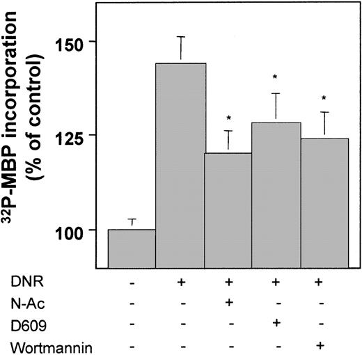 Fig. 5. DNR triggered activation of Raf-1 in U937 cells. / U937 cells were either untreated or preincubated in the absence or presence of various pharmacologic inhibitors: 25 mM N-Ac for 2 hours, 10 μg/mL D609 for 1 hour, or 25 nM wortmannin for 30 minutes. U937 cells were further incubated for 15 minutes with 1 μM DNR, and Raf-1 kinase activity was measured as described in “Materials and methods.” Results are mean ± SEM of 3 independent determinations. *P < .01 compared with cells treated with DNR alone.