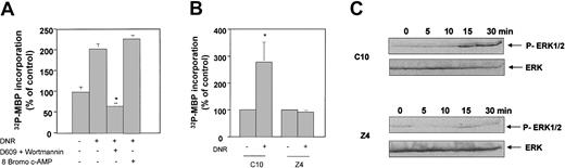 Fig. 6. Role of PKCζ on DNR-induced MAPK activation. / (A) U937 cells were either untreated or preincubated in the absence or in the presence of both 10 μg/mL D609 for 30 minutes and 25 nmol/L wortmannin for 1 hour, 250 μM 8-bromo-cAMP for 30 minutes followed by 1 μM DNR for 4 minutes, and PKCζ kinase activity was measured as described in “ Materials and methods.” Results are mean ± SEM of 3 independent determinations. *P < .01 compared with cells treated with DNR alone. (B) C10 and Z4 cells were incubated with 1 μM DNR, and PKCζ kinase activity was measured as described in “ Materials and methods.” Results are mean ± SEM of 3 independent determinations. *P < .01. (C) Control cells (C10) and kinase-defective PKCζ cells (Z4) were incubated with 1 μM DNR, and ERK activation was evaluated by anti-P–MAPK as described in “Materials and methods.” Results are representative of 3 independent experiments.