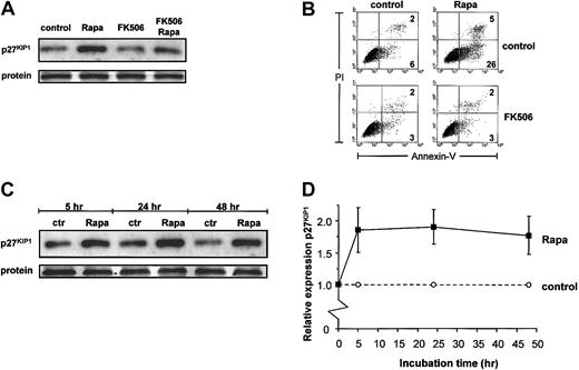 Fig. 3. Rapa increases expression of p27KIP1 protein. / (A-B) DCs were cultured with IL-4 and GM-CSF in the absence or presence of Rapa (10−7 M) and either with or without addition of FK506 (5 × 10−6 M) for 48 hours. Part of the cells was used to prepare whole cell lysates. Equal amounts of protein (20 μg/lane) were loaded, and the levels of p27KIP1 were determined (A). Apoptosis was detected in remaining cells by flow cytometry, using annexin V–FITC and PI staining (B). Data shown are representative for 3 independent experiments performed with different donors. (C-D) DCs were cultured in IL-4 and GM-CSF with or without addition of 1 μM Rapa. Cells were harvested after 5 hours, 24 hours, or 48 hours of incubation. Whole cell lysates (20 μg /lane) were loaded, and the levels of p27KIP1 were determined by Western blot analysis (C). The relative expression of p27KIP1 was determined by using Stratagene-EagleSight (La Jolla, CA) and represents the ratio of each band from Rapa-treated DCs to that of untreated DCs. Results are expressed as mean ratio (± SD) of 4 independent experiments (D).