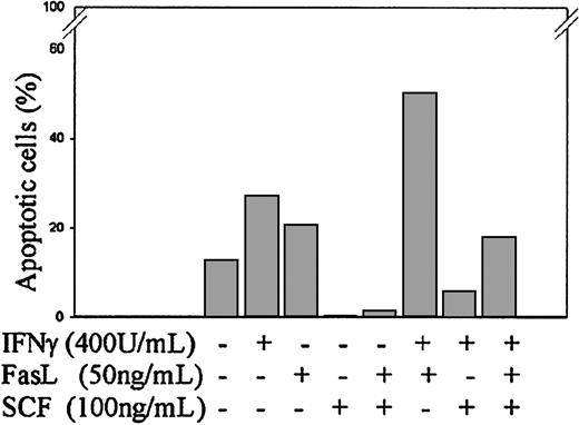 Fig. 3. SCF inhibits apoptosis induced by IFNγ and/or FasL. / Day −6 ECFCs were incubated in medium with or without IFNγ (400 U/mL), FasL (50 ng/mL), or SCF (100 ng/mL) at 37°C for 120 hours in 5% serum medium, and apoptosis was determined by TUNEL assay.