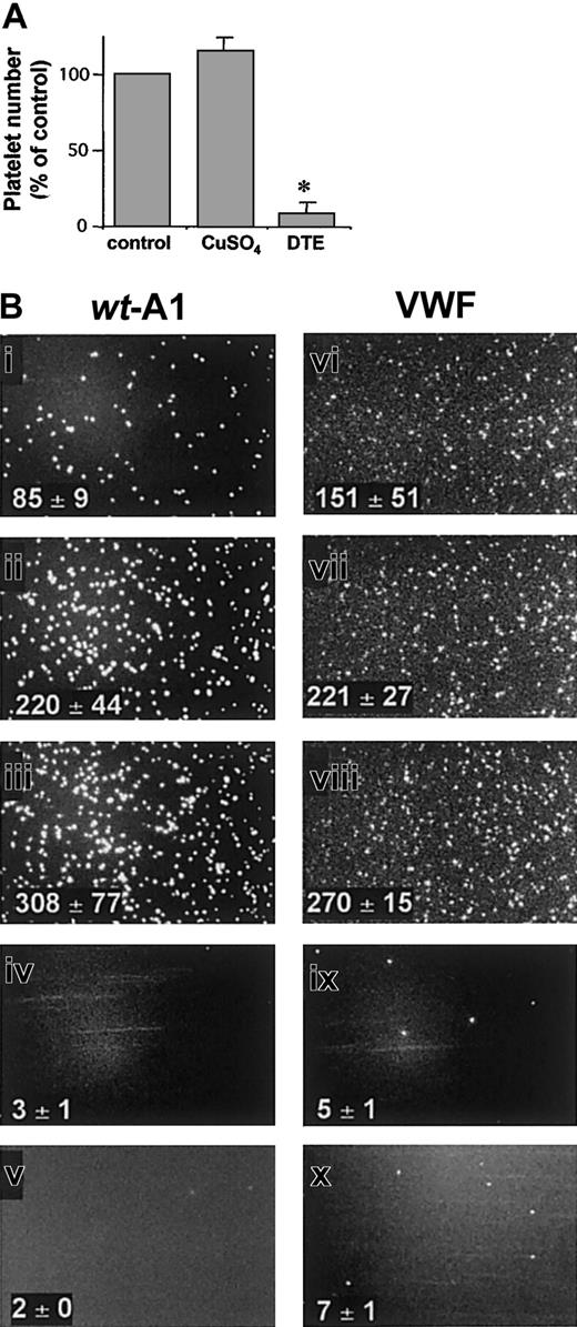 Fig. 2. Functional evaluation of the wt-A1 in flow-dependent platelet tethering. / (A) Glass coverslips coated with purified wt-A1 (300 μg/mL) were untreated (control) or treated for 30 minutes at 37°C with 1mM CuSO4 or 10 mM DTE as indicated and were perfused with platelets in reconstituted blood at a wall shear rate of 1500 seconds−1. After 3 minutes, interacting platelets were counted. Results are expressed as percentages of interacting platelets relative to the nontreated wt-A1 (*P < .01). (B) Images (205 × 330 μm) show the flow-dependent tethering of fluorescently labeled platelets on glass coverslips coated with wt-A1 (300 μg/mL) or native VWF (50 μg/mL) at 200 seconds−1(i,vi), 1000 seconds−1 (ii,vii), and 1500 seconds−1 (iii,viii) and the inhibitory effect of 30 μg/mL G19H10 (iv,ix) and 20 μg/mL AJvW-2 (v,x) at 1500 seconds−1. Corresponding platelet counts ± SDs are provided in subpanels.