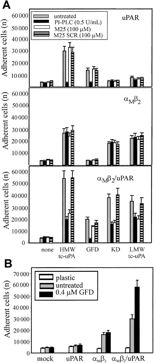 Fig. 6. Influence of uPAR on αMβ2-mediated adhesion to uPA. / (A) uPAR (upper panel), αMβ2 (middle panel), or αMβ2/uPAR (lower panel) transfected HEK293 cells were treated with 0.5 U/mL PI-PLC (black bars), 100 μM M25 peptide (white bars), the control-scrambled M25 peptide SCR (striped bars), or untreated (gray bars) for 30 minutes at 37°C, and then allowed to adhere HMW-tc-uPA or its domains for 30 minutes at 37°C. (B) The indicated transfected cells were preincubated with GFD (0.4 μM) for 30 minutes and then seeded onto kringle domain (KD)–coated wells for 30 minutes at 37°C. After 4 washings with PBS, the adherent cells were quantitated. The results are expressed as means ± SEM of quadruplets from 3 independent experiments.