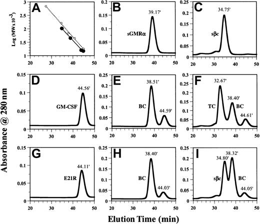 Fig. 2. GM-CSF but not the GM-CSF analog E21R induces the assembly of the ternary GM-CSF receptor complex in solution. / The presence and molecular weight of individual proteins and protein complexes were determined using size-exclusion chromatography as described in “Materials and methods.” (A) Linear regression of log10 (MW × 10−3) versus elution times using external (○) and internal (●) standards for calibration of the column. (B-I) Individual proteins sGMRα (B), sβc (C), GM-CSF (D), and E21R (G) were applied separately. Mixtures of sGMRα (6 μM) and GM-CSF (12 μM) (E); sβc (3 μM), sGMRα (6 μM), and GM-CSF (12 μM) (F); sGMRα (6 μM) and E21R (12 μM) (H); sβc (3 μM), sGMRα (6 μM), and E21R (12 μM) (I) were incubated for 1 hour before being applied to the column. The number above each peak represents elution time. Peaks containing binary (BC) or ternary (TC) complexes are indicated.