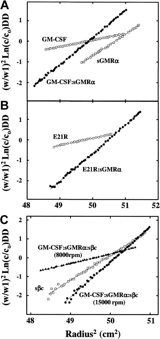 Fig. 5. Analyses of the ternary GM-CSF receptor complex by sedimentation equilibrium. / The individual proteins or protein complexes in 150 mM NaCl/50 mM sodium phosphate, pH 7.0, were centrifuged at 20°C at angular velocity, W rpm, for 16 hours. The equilibrium profiles are presented as (W/W1)2 Ln(c/co) versus the square of the radial distance, where c/co is the optical density at 280 nm divided by the initial optical density and W1 is 20 000 rpm. For a single species, this plot is linear with a slope proportional to the molecular weight of the sedimenting species. The initial concentrations were in the range 0.40 to 0.47 mg/mL, and samples were centrifuged at 20 000 rpm except for E21R, where the initial concentration was 0.2 mg/mL and the angular velocity 15 000 rpm. Panel A samples: GM-CSF (○), sGMRα (■), GM-CSF/sGMRα complex (●). Panel B samples: E21R (○), E21R/sGMRα complex (●). Panel C samples: purified sβc (■) was centrifuged at 15 000 rpm with an initial concentration of 0.45 mg/mL, whereas the GM-CSF/sGMRα/sβc ternary complex at an initial concentration of 0.47 mg/mL was centrifuged at either 8000 rpm (▴) or 15 000 rpm (●) for 16 hours at 20°C.