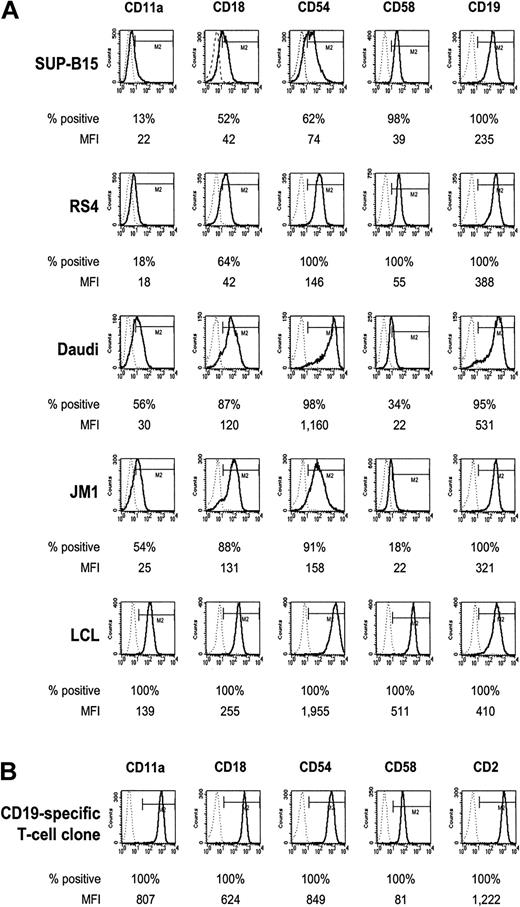 Fig. 3. B-ALL and lymphoma CD19+ tumor lines differ in relative expression of T-cell adhesion molecules. / Cell surface expression of molecules that participate in activation of CD19-specific T cells assessed by flow cytometry on a panel of CD19+B-ALL and lymphoma lines (A) and a genetically modified T cell (B). Relative expression of the adhesion molecules and CD19 (solid lines) within the gate M2 is reported as a percentage and was determined based on binding of the specific mAbs compared with isotype-matched controls (dotted lines). The MFI for the cells in gate M2 reflects the relative density of adhesion molecules expressed on the cell surface. Dead cells were excluded on uptake of PI.