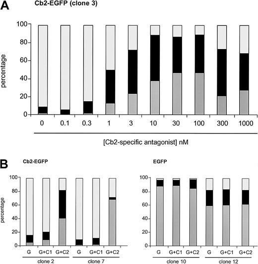 Fig. 4. Effect of the Cb2-specific antagonist SR144528 on G-CSF–induced differentiation. / (A) Cb2-specific antagonist titration experiment when added to the G-CSF cultures in differentiation assays. Countings were carried out at day 9 of culture. (B) Effect of Cb1-specific (C1) and Cb2-specific (C2) antagonist (100 nM) on 2 Cb2-EGFP and 2 EGFP clones cultured for 9 days in the presence of G-CSF (G). White represents blast cells, black represents intermediate forms, and gray indicates neutrophils.