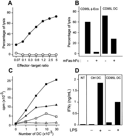 Fig. 2. CD95L-transduced DCs are cytotoxic and down-regulate allogeneic MLC in vitro. / (A) mCD95-transfected P815 cells were incubated with CD95L-DCs (●) or control DCs (○). Data are representative of 15 experiments. (B) CD95-P815 cells were cocultured with CD95L-DCs (right panel) or CD95L-transfected PhoenixECO cells (left panel) at an effector/target cell ratio of 2.5:1, in the presence or not of mFas-hFc. Percentages of lysis are representative of 2 experiments. (C) Triplicate culture of 2 × 105 bm12 LN cells and lpr/lpr CD95L (without LPS, ▵; with LPS, ▴) or control DCs (without LPS, ■; with LPS, ▪) was incubated for 3 days. Results are representative of 3 experiments. (D) 106 BALB/c LN cells were seeded with 3 × 105 irradiated C57BL/6 lpr/lpr CD95L or control DCs activated or not with LPS. Supernatants were collected after 72 hours for IFN-γ quantification. Similar data were obtained in 3 experiments.