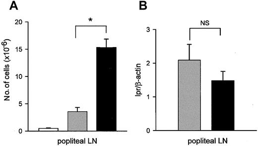 Fig. 3. CD95L-DCs induce strong T-cell proliferation in vivo. / (A) bm12 mice received one footpad injection of 106 lpr/lpr DCs transduced with CD95L (black bars) or control retrovirus (gray bars), or were untreated (white bars). The total number of popliteal LN cells was determined 5 days later. Results were expressed as mean number of cells ± SEM (*P < .02). (B) bm12 mice were injected with 106 lpr/lpr CD95L (black bar) or control DCs (gray bar). DNA was extracted from popliteal LNs 5 days later, and level of lpr mutation was measured by PCR. Results are expressed as mean of lpr versus β-actin signals ± SEM. Each group contains 4 individual mice. NS indicates not significant.