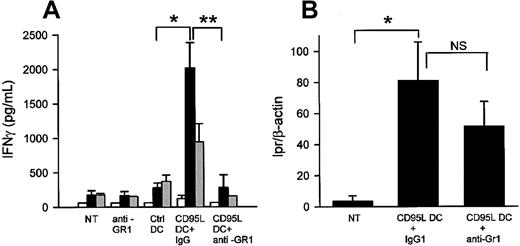 Fig. 9. Involvement of neutrophils in the allospecific TH1 response in MHC class II disparate mice. / (A) The anti-Gr1 neutrophil depletion inhibits the CD95L-dependent allospecific TH1 response. Bm12 mice were intraperitoneally injected with 5 × 105 lpr/lpr control or CD95L DCs and treated or not treated (NT) with control IgG or RB6-8C5 mAbs. After 5 days mesenteric LN cells were cultivated with syngeneic bm12 (white bars), allogeneic lpr/lpr (black bars), or third-party BALB/c (gray bars) spleen cells for 3 days. Supernatants were collected after 72 hours for IFN-γ quantification. Each group contains 3 to 7 individual mice. Results were expressed as mean ± SEM (*P = .0025; **P = .036). (B) Anti-GR1 mAbs treatment do not deplete the injected DC. DNA of mesenteric LNs was extracted, and the lpr/lpr mutation was detected by semiquantitative PCR. Results are means of lpr versus β-actin signals ± SEM of 4 mice/group (*P = .02). NS indicates not significant.