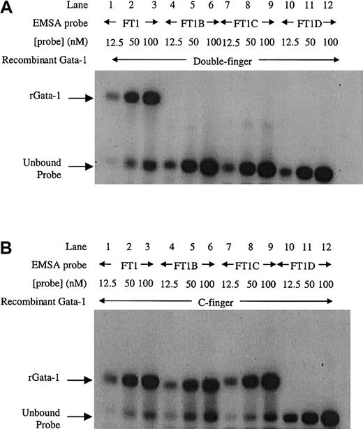 Fig. 3. EMSA with recombinant Gata-1 proteins on the inverted noncanonical double site. / (A) EMSA with a recombinant Gata-1 (rGata-1) molecule containing both C- and N-terminal zinc fingers (double-finger) binds FT1 probe containing both noncanonical Gata-1 sites, but not probes with the 5′, 3′, or both sites mutated (FT1B, FT1C, and FT1D, respectively). (B) EMSA performed with a recombinant Gata-1 protein containing only the C-terminal zinc finger (C-finger) binds all 3 probes that contain at least one noncanonical site (FT1, FT1B, and FT1C). Each probe was assayed with 10 mL 12.5, 50, and 100 nM DNA concentration.