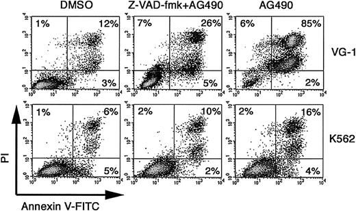 Fig. 5. Inhibition of AG490-induced apoptosis by the caspase inhibitor Z-VAD-fmk. / Cells were incubated with 100 μM Z-VAD-fmk for 1 hour and were then treated for 48 hours with 100 μM AG490 or 0.1% DMSO. Cells were stained with annexin V–FITC and PI, and analyzed for apoptosis by flow cytometry. Shown is a representative of 2 experiments performed.