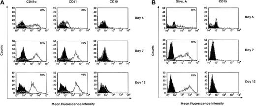 Fig. 1. Flow cytometry analysis of Mk- and E-differentiating cells. / Day 5, 7, or 12 differentiating Mk and E cells were analyzed for lineage-specific marker expression. Mk cells were labeled with anti-CD41a, -CD61, or -CD15 FITC-conjugated MoAbs (A), and E cells were labeled with PE-conjugated antiglycophorin A MoAb or FITC-conjugated CD15 MoAb (B).