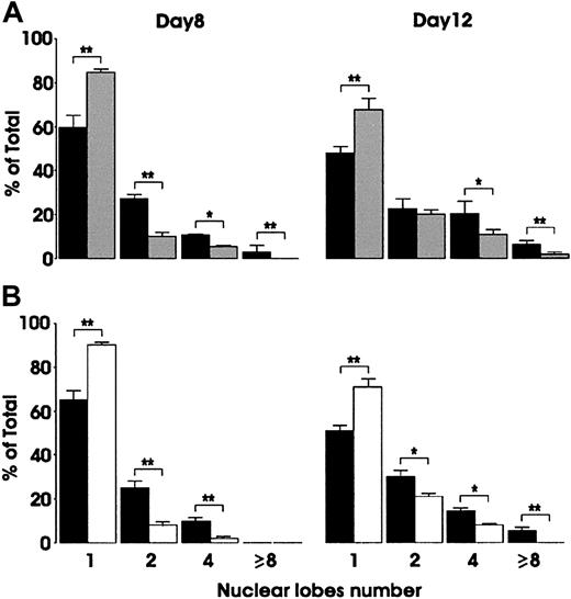 Fig. 5. Effect of VEGFR-1/Fc or anti–VEGFR-1 MoAb on Mk polyploidization. / Cells were grown in the presence of TPO alone (▪), or combined with either 100 ng/mL VEGFR-1/Fc (░) (A) or 2 μg/mL neutralizing anti–VEGFR-1 MoAb (■) (B). Morphologic evaluation of nuclear lobe number was performed at day 8 and day 12 of culture. Mean ± SEM values of 3 independent experiments. *P < .05; **P < .01.