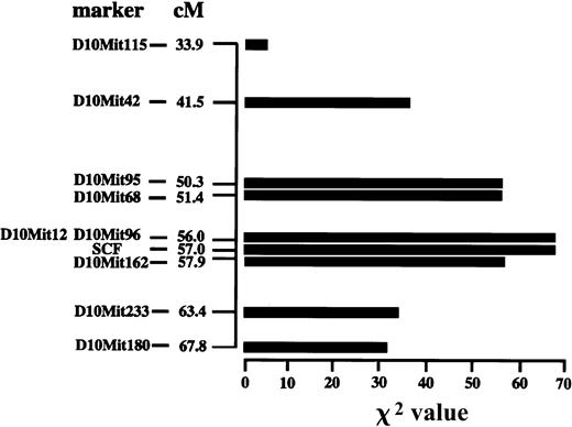 Fig. 6. Linkage analysis for the locus encoding a factor that maintained the number of skin mast cells in WB-mi/mimice. / The x-axis represents the scores of χ2 analyses. The y-axis represents the distance of each microsatellite marker from the centromere. The χ2 values against the KitL locus are also shown.