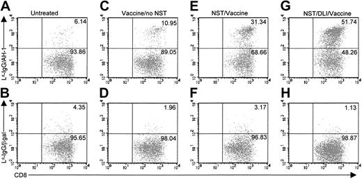 Fig. 5. Vaccine-induced expansion of tumor-specific T cells is enhanced by NST and administration of DLI. / BALB/c mice (A-D) or B10.D2→BALB/c chimeras generated on day 0 by NST (E-H, see legend to Figure 1) received no treatment (A-B), autologous tumor cell vaccine (C-F), or 20 million B10.D2 spleen cells followed by autologous tumor cell vaccine (G-H). Six weeks after vaccine administration, recipients' spleens were harvested, and CD8+ T cells were purified and incubated for 7 days with AH1 peptide in complete medium supplemented with 10 U/mL IL-2. AH1-specific T cells in culture were identified by 2-color flow cytometry after staining with CyChrome-conjugated antibody to mouse CD8 and Ld-Ig dimers loaded with AH1 peptide, followed by biotinylated goat antibody to mouse IgG1 and phycoerythrin-conjugated avidin (A,C,E,G). As a negative control, T cells were also stained with Ld-Ig dimers loaded with an irrelevant peptide from mouse β-galactosidase (Ld-Ig/β-gal; B,D,F,H).