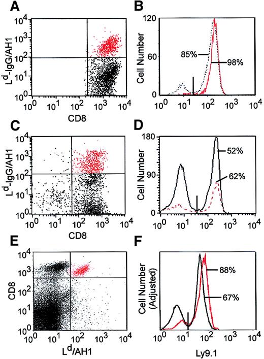 Fig. 6. Vaccine-induced, AH1-specific T cells arise from donor and host. / (A) BALB/c mice received NST, DLI, and 4T1 tumor cell vaccine as described in Figure 3A. Four months after vaccine administration, splenic CD8+ T cells were purified and cultured for 1 week with AH1 peptide and IL-2, and viable cells were stained with Ld-IgG/AH1 dimers, biotinylated antihuman IgG, PE-streptavidin, CyChrome-conjugated anti-CD8, and FITC-conjugated anti-Ly9.1. (B) The host (Ly9.1+) versus donor origin of total CD8+ (black line) and AH1-specific CD8+ T cells (red line) is shown. (C-D) Same as in A and B, except that the vaccine consisted of 106 CT26 cells and 5 × 105 B78H1–GM-CSF cells, which were mixed together and irradiated (5000 cGy). (E) Spleen cells were taken from BALB/c mice treated with NST, DLI, and CT26 vaccine (as in C-D) and were stained directly ex vivo with FITC-conjugated anti-Ly9.1, CyChrome-conjugated anti-CD8, and PE-conjugated Ld/AH1 tetramers. (F) The host (Ly9.1+) versus donor origin of total CD8+(black line) and AH1-specific CD8+ T cells (red line) is shown.