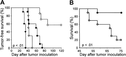 Fig. 7. Host T cells participate in the therapeutic response to NST, DLI, and autologous tumor cell vaccines. / (A) Groups of 10 C.B17-scid (▾, ●) or BALB/c mice (▿, ○) received 104 4T1 cells subcutaneously on day 0 followed by surgery on day 13 (▾, ▿), or surgery on day 13 plus NST, DLI, and autologous tumor cell vaccine (●, ○), as schematized in Figure 1A. (B) Comparison of NST to myeloablative alloSCT. Two groups of 10 BALB/c mice each received 104 4T1 cells subcutaneously on day 0, surgery on day 13, 107 B10.D2 bone marrow cells intravenously on day 14, 2 × 107 B10.D2 spleen cells intravenously on day 28, and autologous tumor cell vaccine on day 31. Conditioning for alloSCT consisted of 200 cGy TBI (●) or 850 cGy TBI (○) on day 13 and Cy 200 mg/kg intraperitoneally on day 17. Tumor-free survival is plotted as a function of day after tumor inoculation.