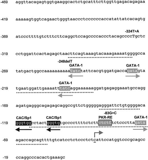 Fig. 1. Partial DNA sequence of the erythroid-specific promoter of PKLR. / A 469-bp region comprising the upstream regulatory domain and exon 1 down to the ATG codon as used in this study. Conserved elements (from Kanno et al9) between the human and rat PK-R promoter are depicted by dotted lines. The cytosine identified as the PK-R transcriptional start site5 is underlined. GATA-1, CAC/Sp1 motifs, and the novel regulatory element PKR-RE1, as reported in this study, in the upstream 270-bp region are shown in boxes (orientation indicated by arrows). The 3 in cis mutations, as identified in our patient, are indicated above their corresponding nucleotides (in capital letters) in the promoter sequence.
