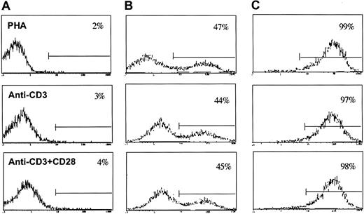Fig. 1. Different activation signals such as PHA, anti-CD3, and anti-CD3 plus anti-CD28 antibodies result in similar transduction efficiency and identical level of transgene expression. / (A) Autofluorescence of transduced cells stained with FITC-conjugated goat antimouse antibody. (B) Transduction efficiency measured by cytofluorometric analysis for ΔLNGFR expression after cell-free, supernatant-mediated transduction. (C) ΔLNGFR expression of the same subpopulation of lymphocytes after immune selection and 14-day culture from initial activation.