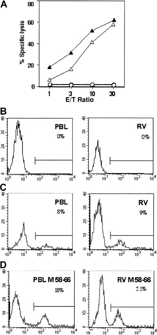 Fig. 5. RV cells specific for a viral-derived peptide are as efficient as PBLs in proliferating and lysing cells pulsed with the peptide. / (A) PBL CD8+ (open symbols) and RV CD8+ cells (closed symbols) were stimulated with the M58-66 Flu peptide and tested in a cold inhibition cytotoxic assay against T2 cells pulsed (triangle) or not (circle) with the same M58-66 peptide. The proportion of Vβ17 TCR on PBLs or RV CD8+ cells stimulated with autologous cells in the absence (C) or in the presence (D) of the M58-66 peptide is measured by cytofluorometric analysis. (B) Autofluorescence of PBLs and RV cells stained with FITC-conjugated goat antimouse antibody is shown. Results from 1 of 3 representative experiments are shown. Horizontal bars indicate % of Vβ17 in panels C and D and % GAM-FITC in panel B.
